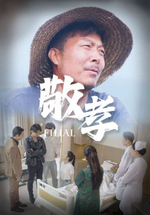 敬孝（61集）短剧抢先看