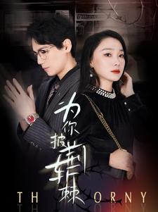 为你披荆斩棘（90集）好看的短剧分享