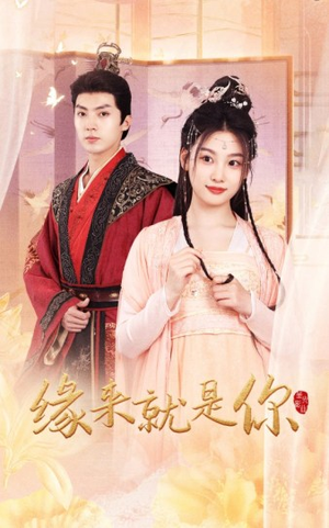 缘来就是你（65集）短剧全集抢先看