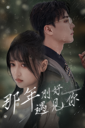 那年遇见你（62集）夸克网盘观看
