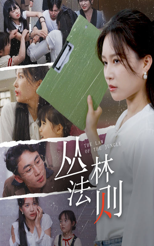 丛林法则（29集）全集下载