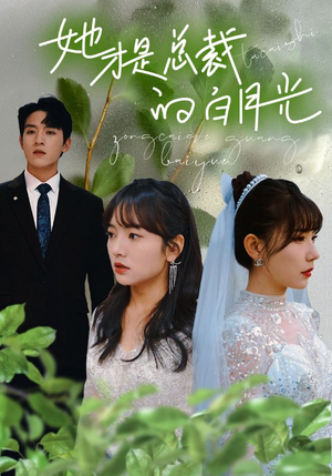 她才是总裁的白月光（90集）短剧分享片段