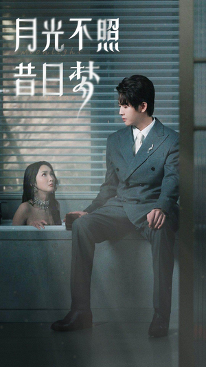 月光不照昔日梦（79集）海量资源免费看