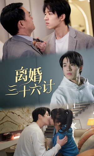 离婚三十六计（96集）迅雷网盘观看