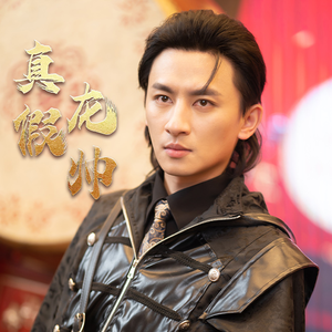 真假龙帅（81集）爆火短剧推荐