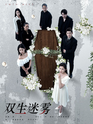 双生迷雾（80集）观看软件