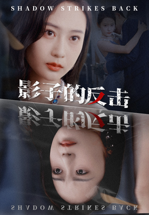 影子的反击（31集）海量资源免费看