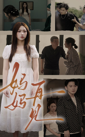 妈妈，再见（28集）热播短剧免费看