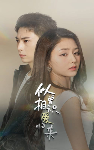 似曾相识爱归来(77集) 似曾相识爱归来(77集)全集免费看短剧