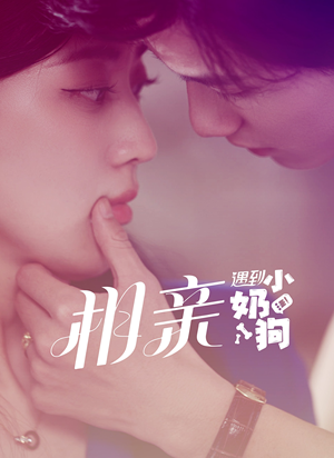 相亲遇到小奶狗（80集）在线看免费版