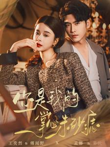 你是我的掌心朱砂痣（80集）高分推荐免费看