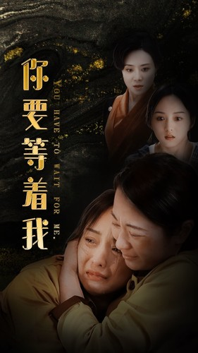 你要等着我(85集) 你要等着我(85集)大结局