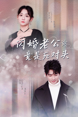 闪婚老公竟是死对头（长篇）解说文案