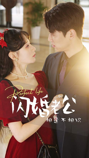 闪婚老公相逢不相识（90集）火爆热门短剧