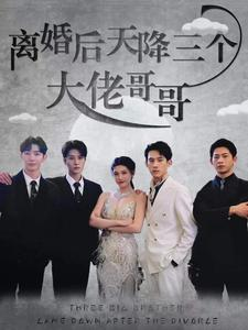 离婚后天降三个大佬哥哥（83集）短剧太好看了吧