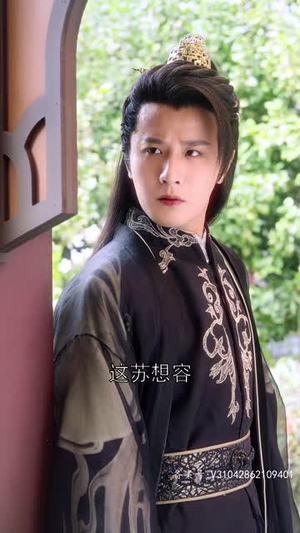 纵使相逢应不识（91集）短剧后续更精彩