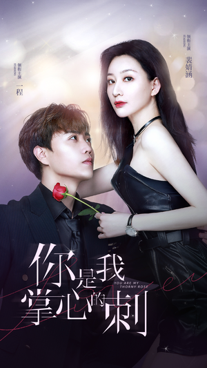 你是我掌心的刺（100集）演的怎么样