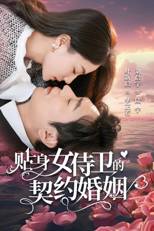 贴身女侍卫的契约婚姻（91集）一口气看完全集