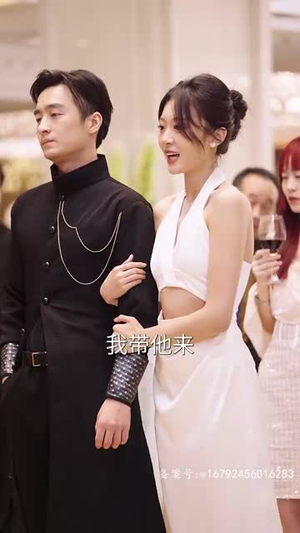 枭龙(60集) 枭龙(60集)排行榜前十短剧