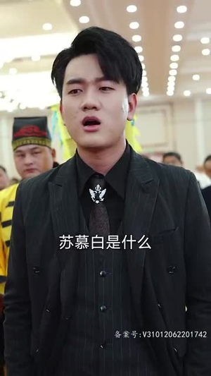 踏雪（96集）精彩热门短剧