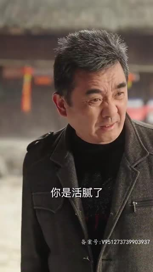 假如给我3天光明（80集）常回家看看短剧