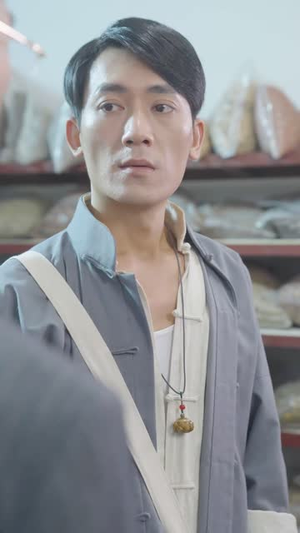 仙婿（77集）免费短剧合集