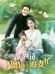 当天领证闪婚陆少追妻忙（80集）每日短剧追不停