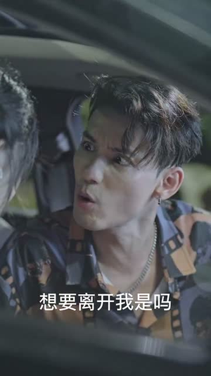 插翅难飞 （30集）精彩短剧合集