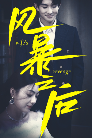 风暴之后（80集）好看的短剧电影