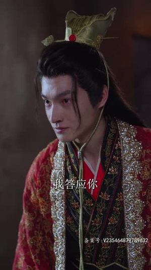 王妃复仇记（70集）看过的人都说好