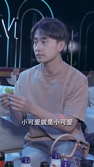 我的巅峰人生（97集）短剧分享剧集