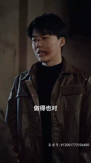 浴火重生（39集）推荐热门短剧