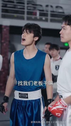 双骄夫妇（65集）高清无码免费看