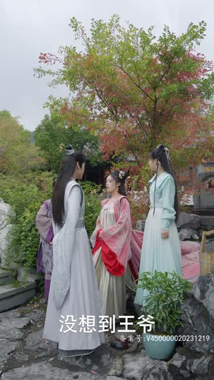 腹黑王爷的千金丫鬟（94集）爆款短剧抢先看