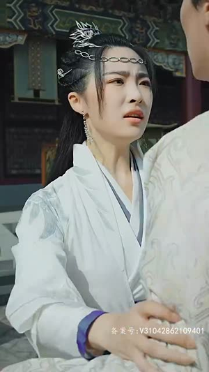 我的老婆是将军(97集) 我的老婆是将军(97集)在线免费观影