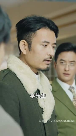 巅峰神婿（100集）经典老剧免费看