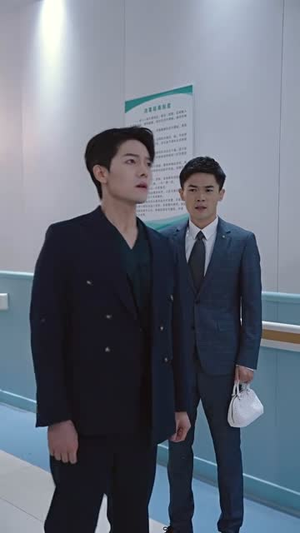 厉总,你找错夫人了(103集) 厉总,你找错夫人了(103集)短剧解说全集