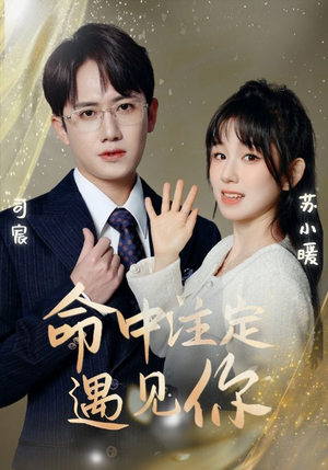 命中注定遇见你（96集）短剧全集完整