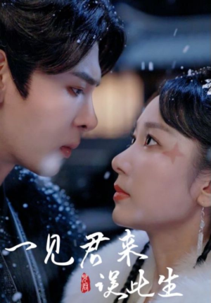 一见君来误此生（95集）短剧全集更精彩