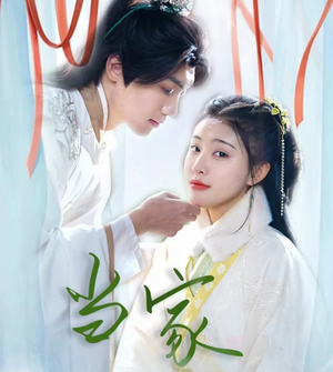 傻子王爷娇宠妃&当家（50集）超爽短剧推荐