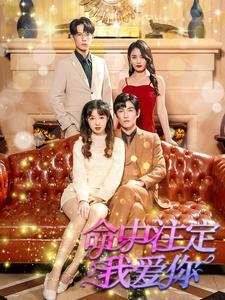 命中注定我爱你（99集）爆款热门短剧