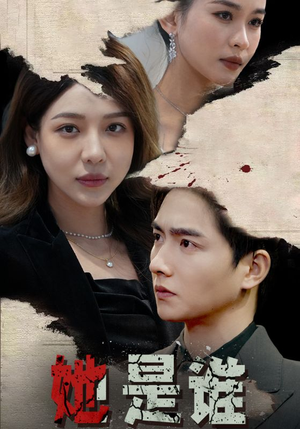 她是谁(79集) 她是谁(79集)口碑之选免费看