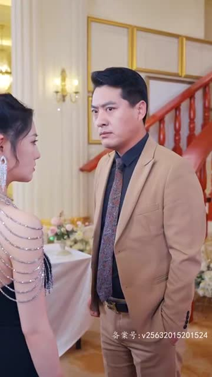 特工夫妇（82集）在线观看全集