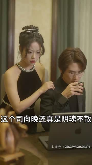 薄少的贪财小娇妻（102集）看短剧放松一下