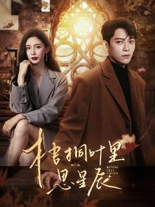 梧桐叶里思星辰（100集）精彩短剧分享。