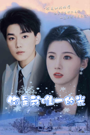 你是我唯一的光（95集）看到了大结局