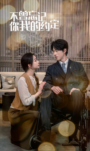 不曾忘记你我的约定（51集）免费在线看