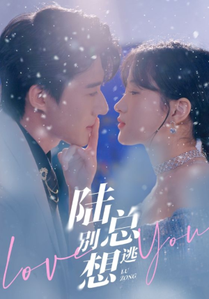 陆总别想逃（80集）短剧小说在线看