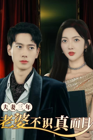 夫妻三年老婆不识真面目（83集）最后一集