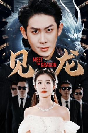 见龙（78集）完整版